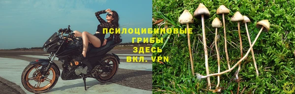 хмурый Балахна
