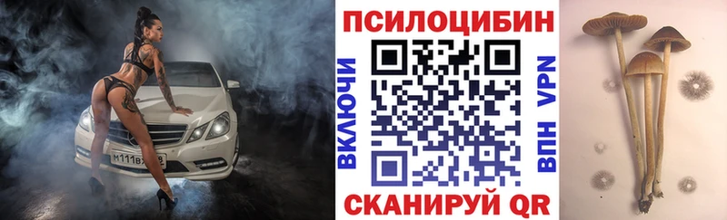 Галлюциногенные грибы Psilocybine cubensis  магазин    Таруса 